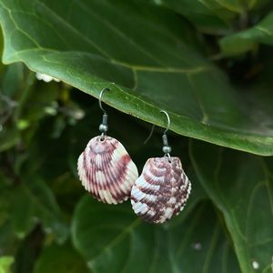 Handmade Tiger shell earrings